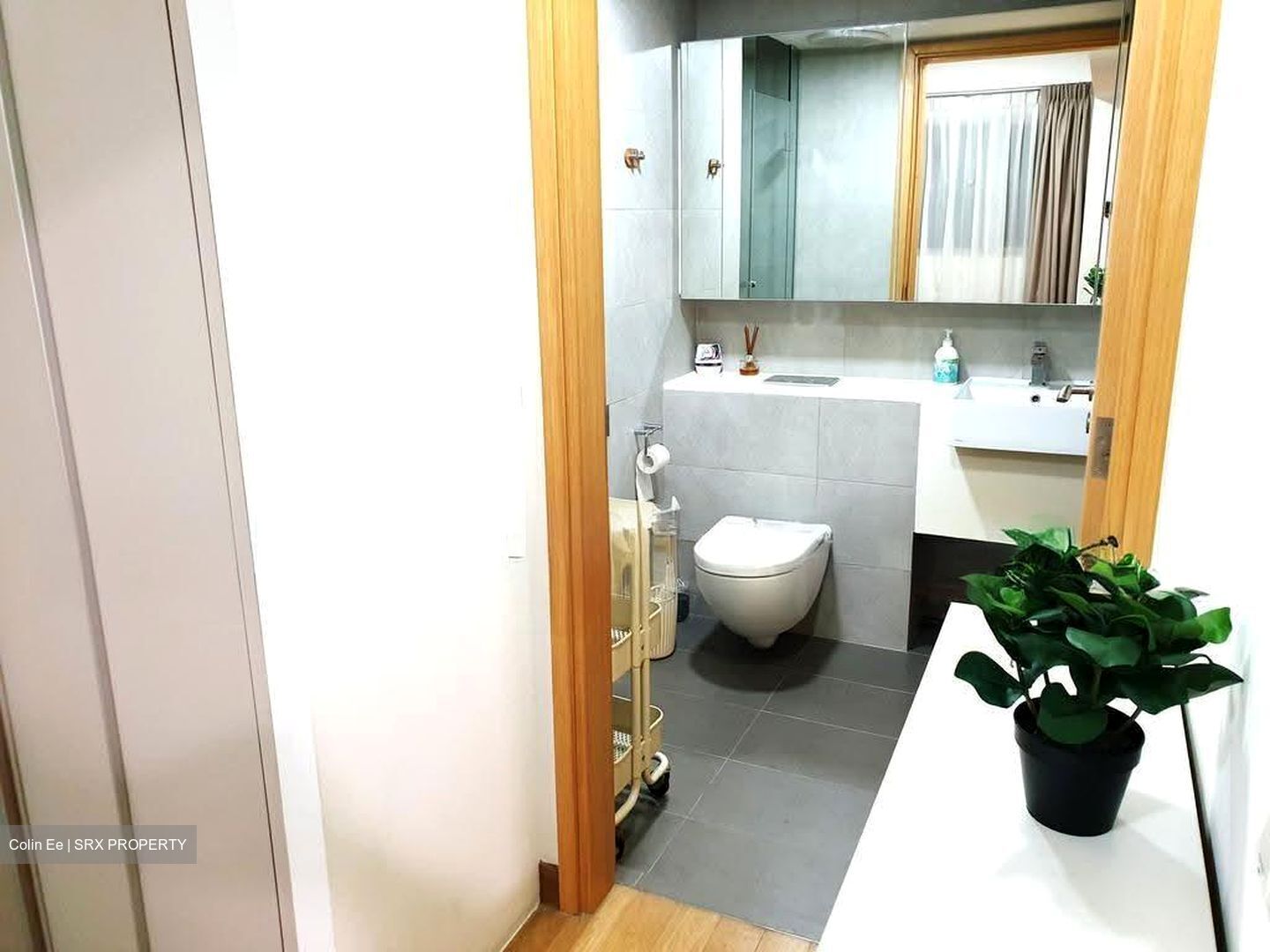 Eight Riversuites (D12), Condominium #639500431